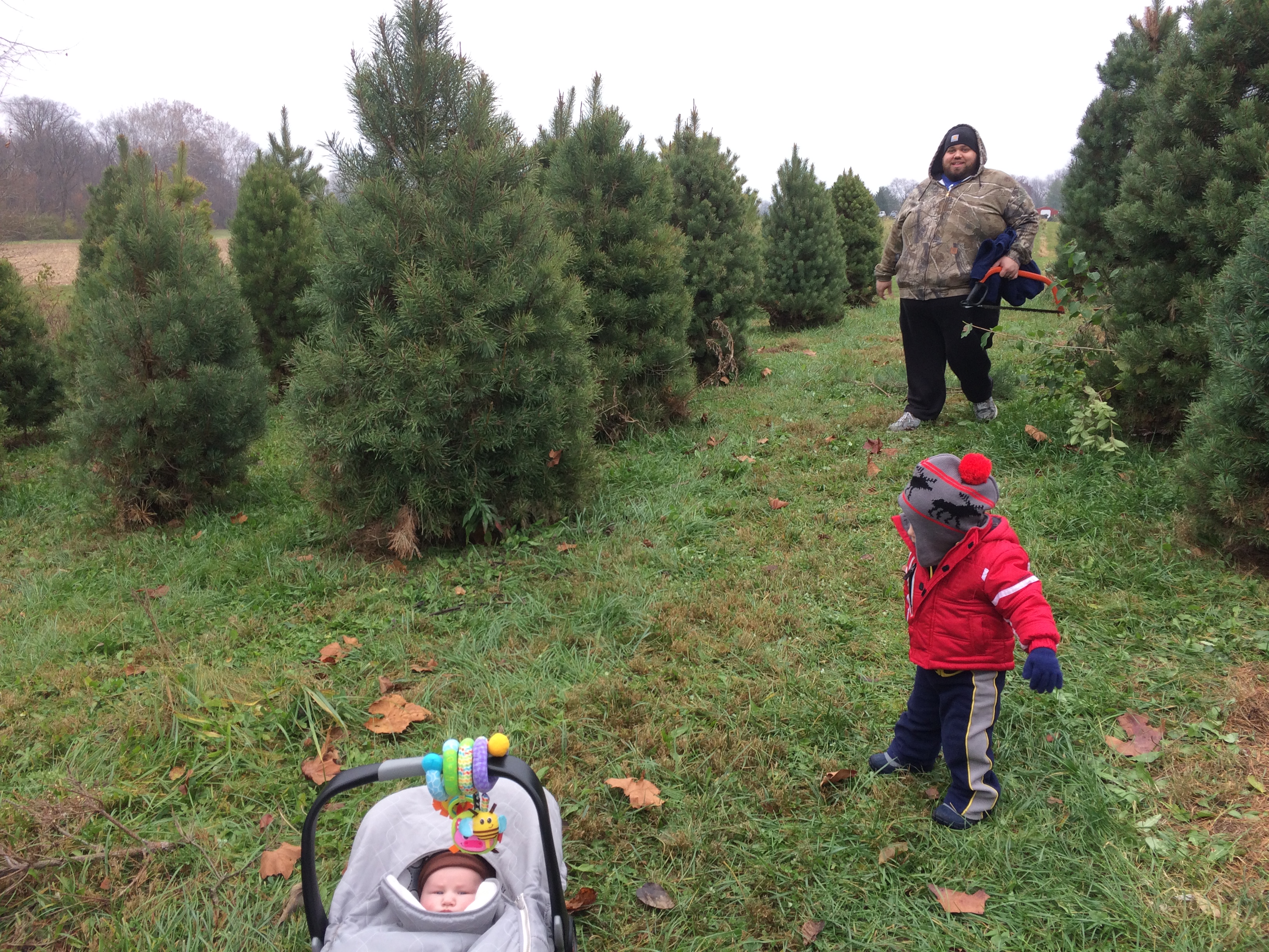 Cutting Your Own Christmas Tree - Circle City Adventure Kids