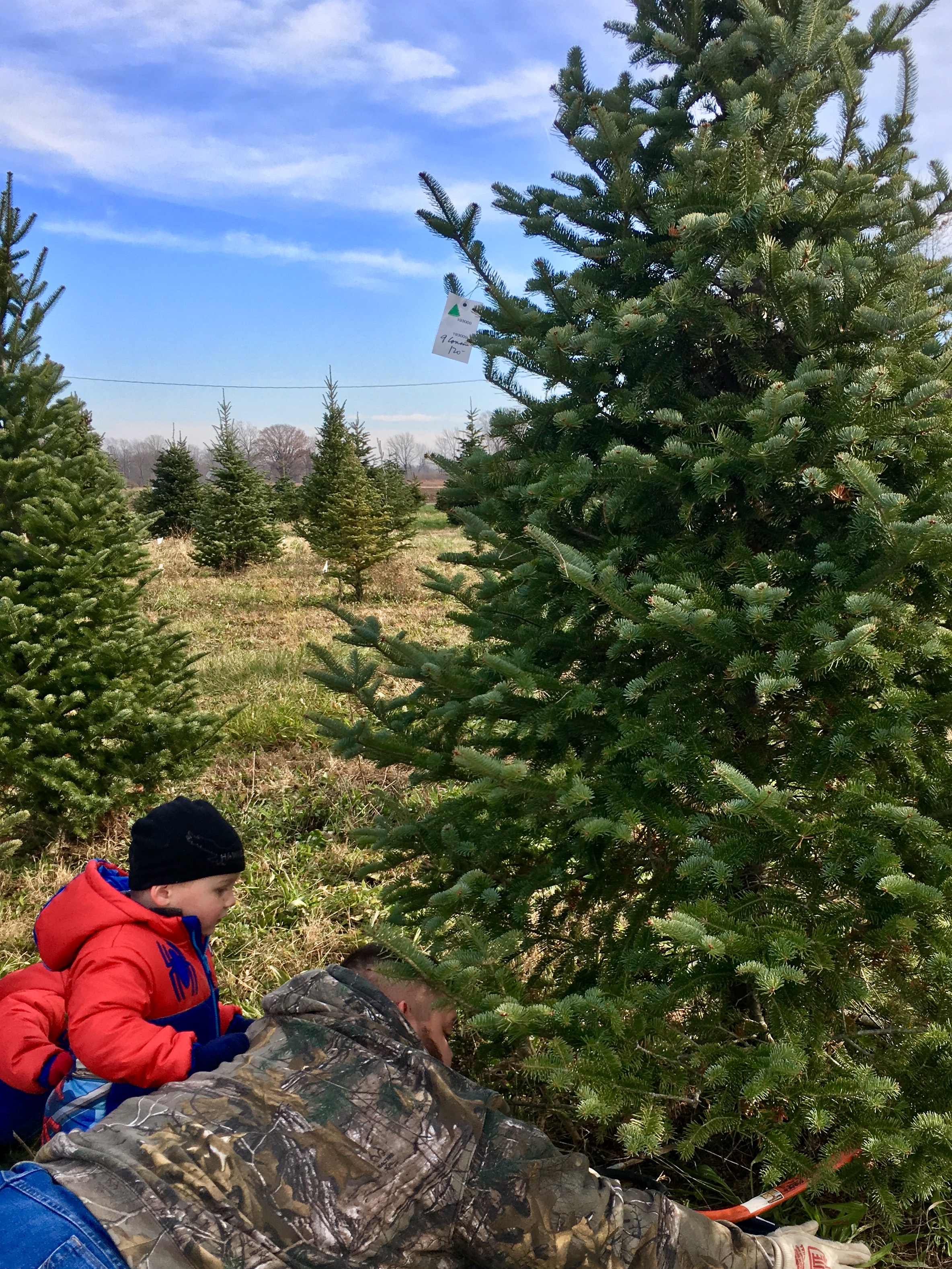 Cutting Your Own Christmas Tree - Circle City Adventure Kids