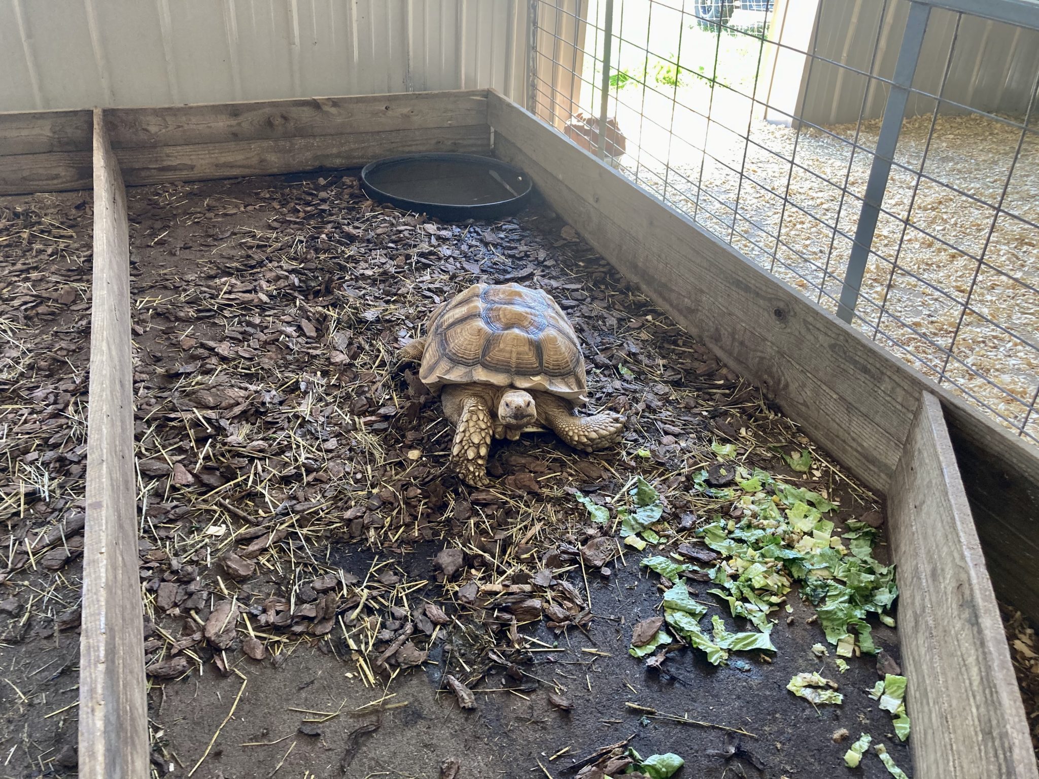 Wilstem Wildlife Park Drive Thru Safari in Indiana - Circle City ...